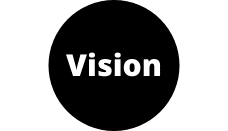 Vision (2)
